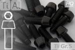Titanium Bolts | Black | M5 | DIN 912 | Gr.5 | Tapered Head | Allen Key