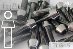 Titanium Bolts | Silver | M6 | DIN 912 | Gr.5 | Tapered Head | Allen Key M6x15