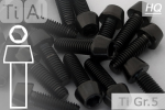 Titanium Bolts | Black | M8 | DIN 912 | Gr.5 | Tapered Head | Allen Key