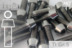Titanium Bolts | Silver | M10x1.25 | DIN 912 | Gr.5 | Tapered Head | Allen Key