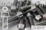 Titanium Bolts | Silver | M10x1.25 | DIN 912 | Gr.5 | Tapered Head | Allen Key M10x1.25x20