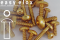 Aluminium Bolts | Gold | ST6.3 | ~DIN 7981 | Pan Head Tapping ST6.3x20
