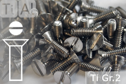 Titanium Bolts | Silver | M2 | DIN 963 | Gr.2 | Countersunk | Slotted