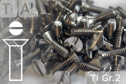 Titanium Bolts | Silver | M2 | DIN 963 | Gr.2 | Countersunk | Slotted M2x8