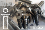 Titanium Bolts | Silver | M2 | ISO 14581 | Gr.2 | Countersunk | Hexalobular M2x4