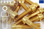Stainless Steel Bolts | Gold | M5 | DIN 912 | Tapered...