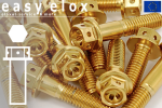 Stainless Steel Bolts | Gold | M10x1.25 | Race Spec Drilled