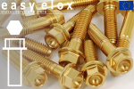 Stainless Steel Bolts | Gold  M5 | ~DIN 6921 | Hex Flange M5x20