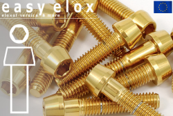 Stainless Steel Bolts | Gold | M10x1.25 | DIN 912 | Tapered Head | Allen Key M10x1.25x20