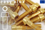 Stainless Steel Bolts | Gold | M10x1.25 | DIN 912 | Tapered Head | Allen Key M10x1.25x30