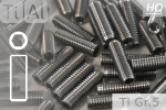 Titanium | Socket Set Screws | Silver | M3 | DIN 913 | Gr.5 | Allen Key M3x10