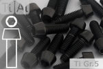Titanium Bolts | Black | M8 | DIN 912 | Gr.5 | Tapered Head | Allen Key M8x70