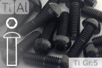 Titanium Bolts | Black | M8 | ISO 7380 | Gr.5 | Button Head | Allen Key M8x30