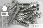 Titanium Bolts | Silver | M6 | ~DIN 6921 | Gr.5 | Hex Flange