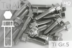 Titanium Bolts | Silver | M10x1.25 | ~DIN 6921 | Gr.5 | Hex Flange M10x1.25x45