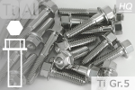 Titanium Bolts | Silver | M10x1.25 | ~DIN 6921 | Gr.5 | Hex Flange M10x1.25x80