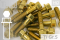 Titanschrauben | Gold | M8 | ~DIN 6921 | Gr.5 | Sechskant mit Flansch M8x40
