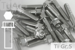 Titanium Bolts | Silver | M10x1.25 | ~DIN 6921 | Gr.5 | Hex Flange M10x1.25x30