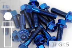 Titanium Bolts | Blue | M10x1.25 | ~DIN 6921 | Gr.5 | Hex Flange M10x1.25x20