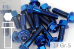 Titanium Bolts | Blue | M10x1.25 | ~DIN 6921 | Gr.5 | Hex Flange M10x1.25x50