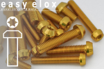 Aluminium Bolts | Gold | M6 | DIN 912 | Taper Head | Hexalobular M6x40