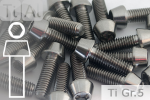 Titanium Bolts | Silver | M10x1.25 | DIN 912 | Gr.5 | Tapered Head | Allen Key M10x1.25x25