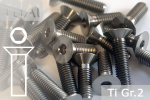 Titanium Bolts | Silver | M6 | DIN 7991 | Gr.2 | Countersunk | Allen Key M6x20