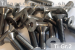 Titanium Bolts | Silver | M3 | ISO 14581 | Gr.2 | Countersunk | Hexalobular M3x6