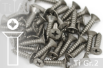 Titanium Screws | Silver | ST4.8 | DIN 7982 | Gr.2 |...