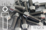 Titanium Bolts | Silver | M4 | DIN 912 | Gr.5 | Tapered Head