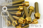 Titanium Bolts | Gold | M6 | DIN 912 | Gr.5 | Tapered Head | hollow M6x25