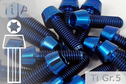 Titanium Bolts | Blue | M6 | DIN 912 | Gr.5 | Tapered Head | hollow M6x35