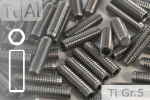 Titanium | Socket Set Screws | Silver | M3 | DIN 913 |...