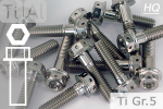 Titanium Bolts | Silver | M6 | ~DIN 6921 | Gr.5 | Flanged Hex Head + Allen Key M6x65