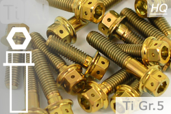 Titanium Bolts | Gold | M5 | ~DIN 6921 | Gr.5 | Flanged Hex Head + Allen Key