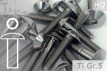 Titanium Bolts | Silver | M5 | ~ISO 7380 | Gr.5 | Button Head M5x10