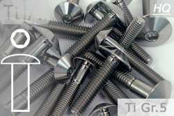 Titanium Bolts | Silver | M8 | ~ISO 7380 | Gr.5 | Button Head