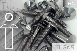 Titanium Bolts | Silver | M8 | ~ISO 7380 | Gr.5 | Button Head M8x85